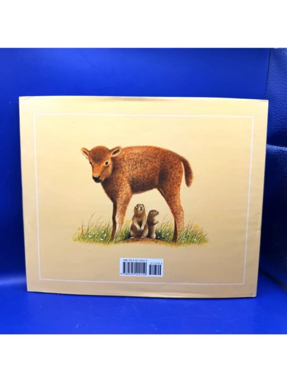 Buffalo Are Back Jean Craighead George 2010 HC Ex Library Dust Jacket